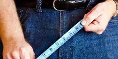 male reproductive organ size