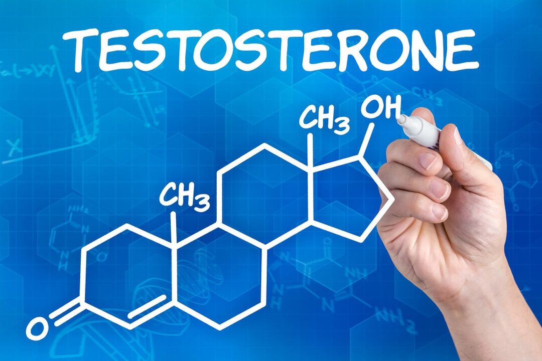 Testosterone and its impact on penis size at age 14