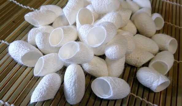 Chinese silk promotes penis growth