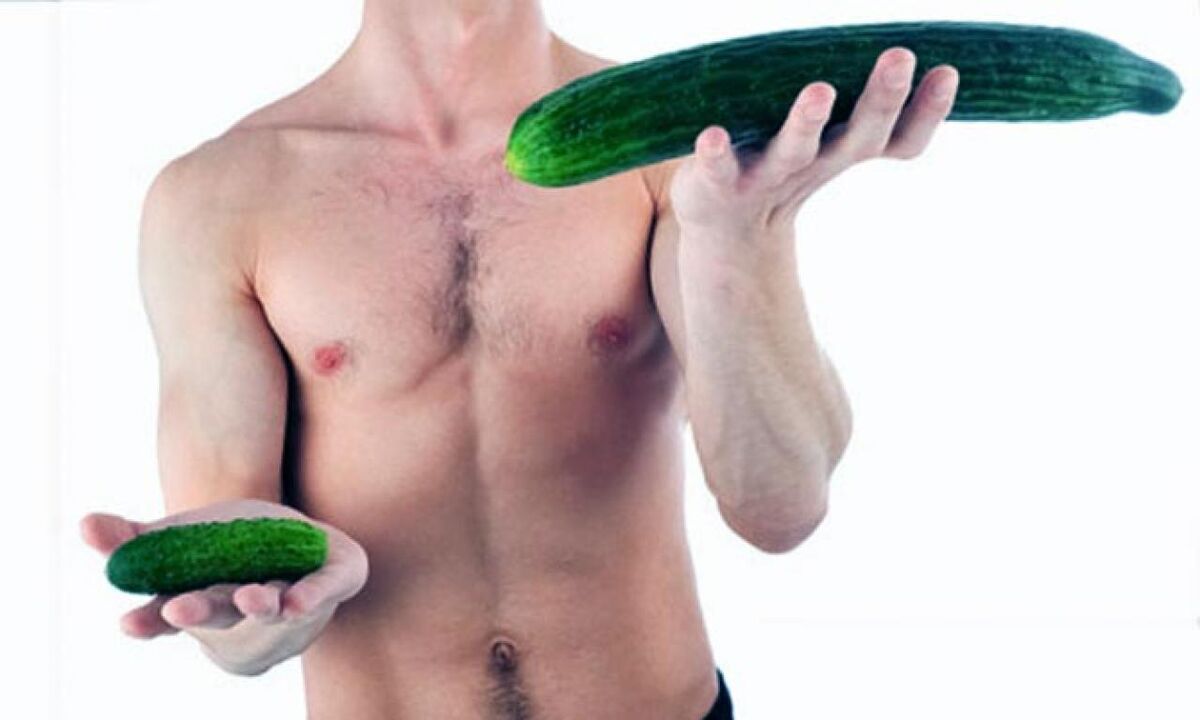 The size of a cock taking cucumber as an example
